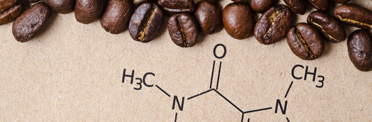 Antioxidants in Skincare: Why Caffeine and Coffee Seed Extract Work